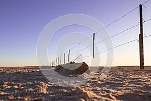 Sunset at Lake Eyre in the Tirari Desert