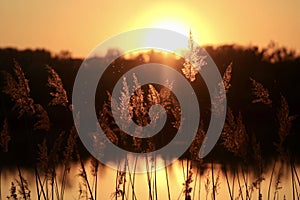 Sunset lake in gyÃâr