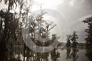 Sunset on Lake Martin Swamp in Breaux Bridge, LA