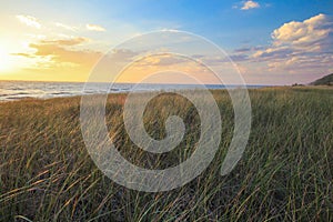 Sunset On Lake Michigan With Dune Grass