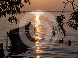 Sunset with ducklings on Lake Pleshcheyevo