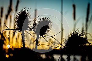 Sunset at the lakeside