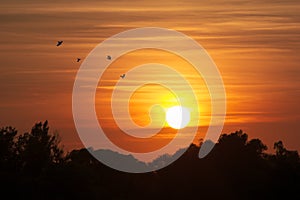 Sunset Landscape with Birds