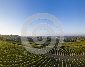 Sunset landscape bordeaux wineyard france, Nature