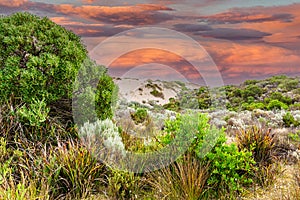 Sunset landscape of the Coorong National Park in South Australia