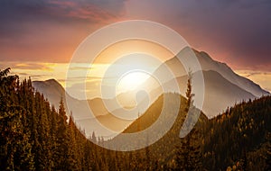 Sunset landscape with high peaks and foggy valley with autumn spruce forest under vibrant colorful evening sky in rocky mountains