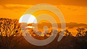 Sunset landscape in Kruger National park, South Africa