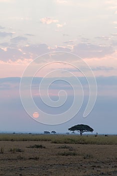 Sunset. Landscape in the Savannah Amboseli. Kenya, Africa