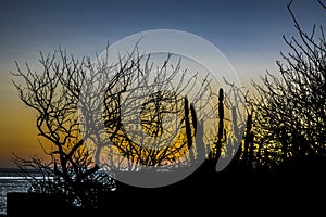 Sunset Landscape Scene, Galapagos, Ecuador