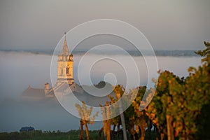 Sunset landscape and smog in bordeaux wineyard, Loupiac church, France, Europe