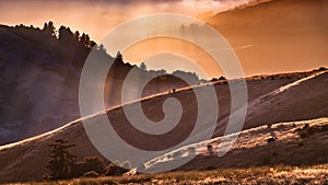 Sunset landscape with sun rays illuminating hills and valleys in Santa Cruz mountains; San Francisco Bay Area, California