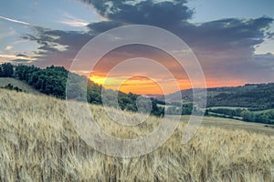 Sunset landscape of Tuscan green hills