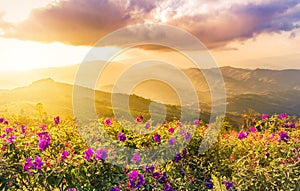 Sunset landscape view at mountains doi chang mup Chiangrai,nothern Thailand