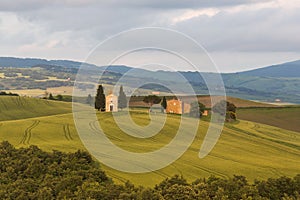 Sunset landscapes in Chapel Vitaleta with green grassland and rolling hills in Tuscany