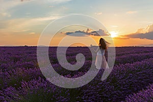 Sunset on the lavender fields