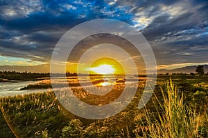 Sunset with lens flare, thick tall grass, bushes, tall yellow grass in the lower right corner and a flat lazy river