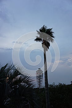 Sunset. Lighthouse in the background. Evening on Enoshima Island