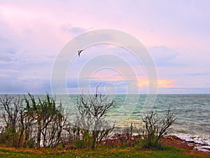 Tramonto Come abbagliante una foto sul Spiaggia 