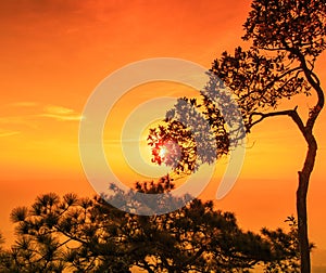 Sunset at the Lomsak cliff on Phu Kradung national park