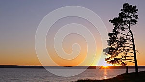 Sunset and lonely tree on the river. Russia