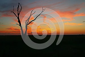 Sunset in the Louisiana Marsh