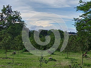 Sunset in the Lowveld