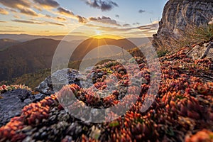 Sunset on  Majerova skala rock on Velka Fatra during autumn