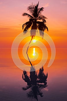 Sunset on Maldives island, luxury water villas resort and wooden pier. Beautiful sky and clouds and beach with palms background