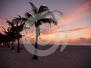 Sunset on Maldives on Tropical Meeru Island. Sunset on Sea. Landscape with Palm Trees with Beautiful Colors