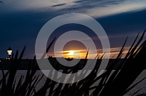 Sunset on the malta sea view thruought grass, blue sky, vibrant colors