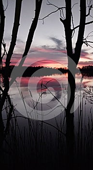 Sunset in the marsh lands