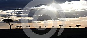 Sunset in Masai Mara Kenya