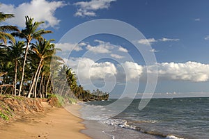 Sunset on Maui beach