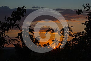 Sunset in the Mayan biosphere in the department of El Peten, Guatemala, silhouette of trees and trop