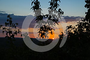 Sunset in the Mayan biosphere in the department of El Peten, Guatemala, silhouette of trees and trop