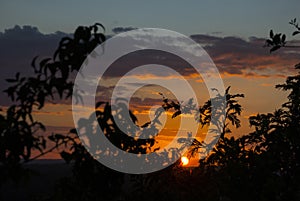 Sunset in the Mayan biosphere in the department of El Peten, Guatemala, silhouette of trees and trop