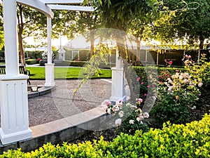 Sunset in McHenry Garden in Modesto California