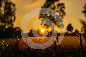 Sunset on meadow, sun setting behind a feather quill on the grass, blurred background, golden hour sunlight, feather