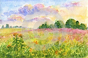 Sunset meadows - watercolor landscape