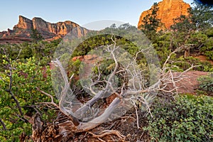 Sunset at Mermaid Mt in the desert of Sedona, AZ