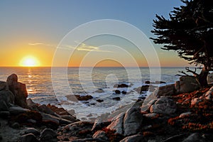 Sunset at 17-mile drive, Pebble beach, California