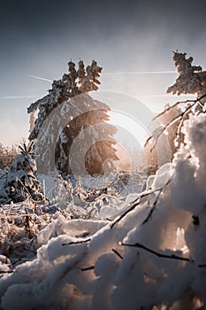 Sunset in mouintains