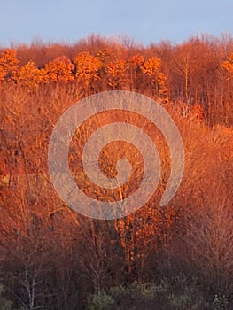 Sunset in the Mountains