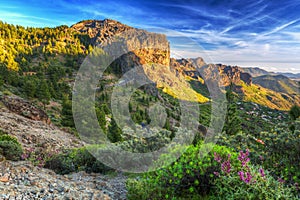 Sunset in the mountains of Gran Canaria island