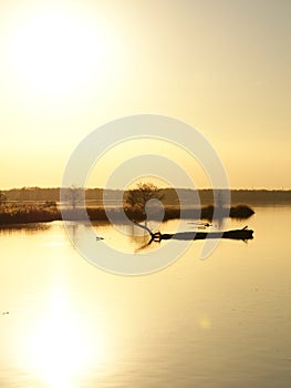 sunset n the danube rivern autumn evening