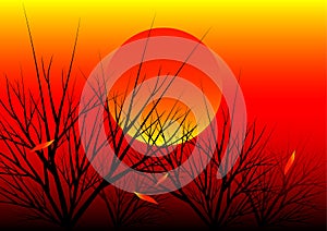 Sunset nature background