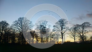 Sun Set in Nature Park