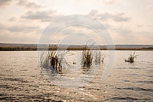 Sunset in Neajlov Delta, Comana Natural Park