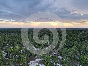 Sunset on the New Jersey Pine Barrens Forest