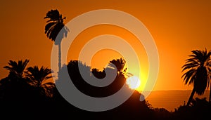 Sunset Nile river Egypt